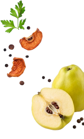 upscalemedia-transformed (6)